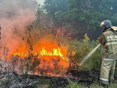 Жасыл даму орман өртінің алдын алуға 16 млрд теңге бөлді