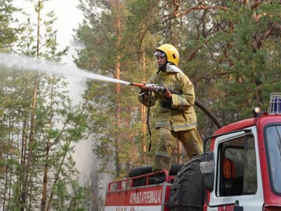 «Семей орманы» мемлекеттік табиғи резерваты тағы екі жерден өртеніп жатыр
