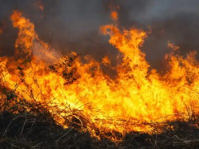 Орал орманы өртеніп жатыр
