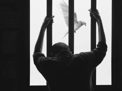 ШҚО-да 50-ден астам сотталған рақымшылыққа ілінуі мүмкін