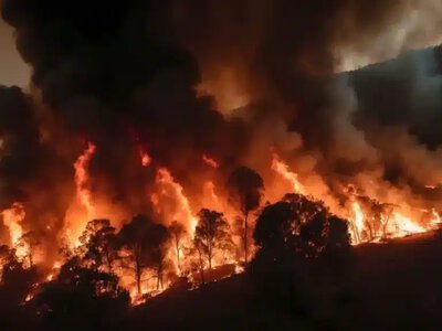 Қазақстанда бір күнде 13 орман өрті болды