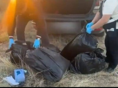 Алматыға 43 келіден астам марихуана жеткізбек болған күдікті ұсталды