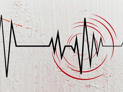 Қырғыз-қытай шекарасында қуаты 4,1 балдық жер сілкінісі тіркелді