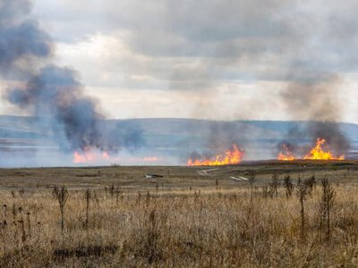 Қарағанды облысында табиғи өрт өршіді: жалын мың гектардан астам жерге тарады