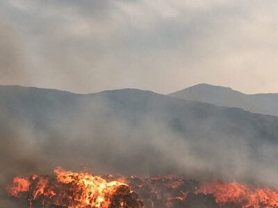 Ауылға жақындап қалды: Қарқаралыдағы өртке қатысты тұрғындар дабыл қақты