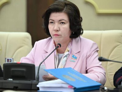 Жаға ұстайтындай қателерді көрдік: министр оқулықтарды жаңалау барысы туралы айтты