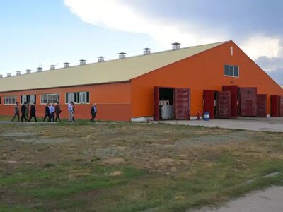 Сүт фермасындағы алты адамның қазасы: жұмыс беруші 100 пайызға кінәлі болып шықты