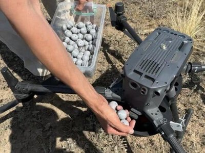 Қазақстанда егістікті дронмен қорғайтын жаңа технология әзірленді