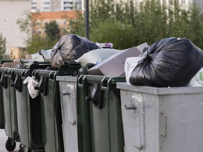 Жамбыл облысында қоқыстан шақалақ табылды