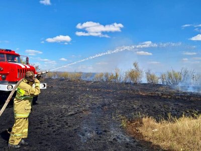 БҚО-да орман өрті сөндірілді