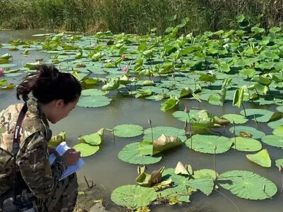 Табиғатты құртты: Лотос өсірген қыздардың әрекеті сынға қалды