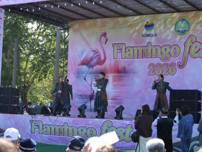Қорғалжыңдағы Flamingo Fest несімен таңғалдырды