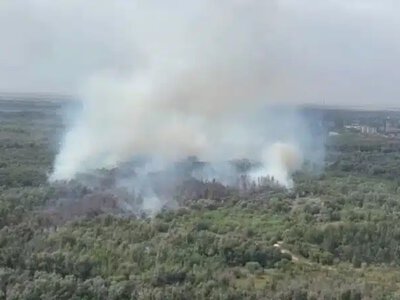 Марқакөлде орман өртеніп жатыр