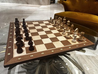 Қазақстан әйелдер құрамасы шахмат Олимпиадасының фавориттер қатарына енді