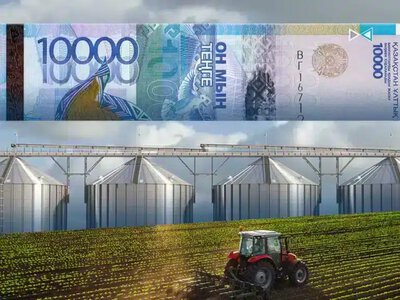 Шаруаларға 5%-дық несие беріледі: өтінім қабылдау қашан басталады