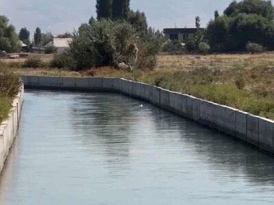 Тараздағы каналдан жаңа туған шақалақтың денесі табылды