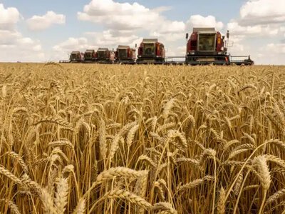 Батыс Қазақстанда 11,2 млрд теңгенің астығы заңсыз экспортталған