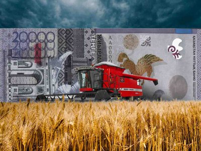 Субсидия азайып, жеңілдетілген несие көбейді: фермерлер не ұтады