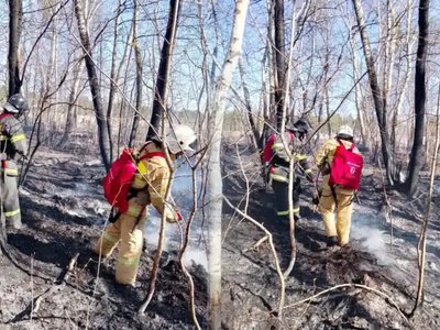 Орман өрттерін ерте анықтайтын жүйелерге 16,9 млрд теңге бөлінді