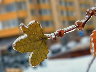 Елдің басым бөлігінде үсік жүреді: 7 қазанға ауа райы болжамы