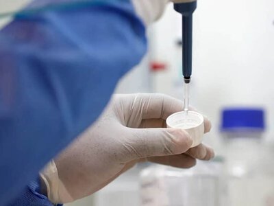 Еуроодақ Ресейден оба туралы ақпаратты ашық жариялауды талап етіп отыр