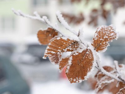 Оңтүстікке аяз келеді: 17 қазанға ауа райы болжамы