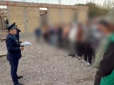 Елде заңсыз жүрген 236 азамат шығарылды, қайта кіруге 5 жылға дейін тыйым салынды