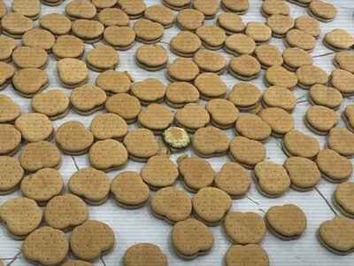 Астанада есірткі қосылған печенье сатқан интернет-дүкеннің қызметкерлері ұсталды