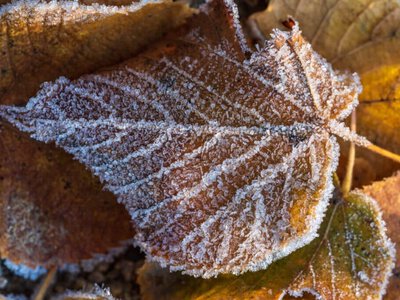 Оңтүстікте үсік күтіледі: 23 қазанға ауа райы болжамы