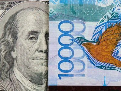 Тимур Сүлейменов валюта нарығында доллардың көбеюіне қатысты пікір білдірді
