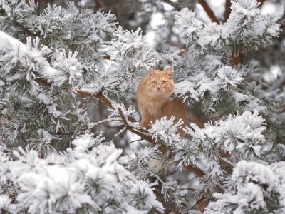 Үсік, көктайғақ пен қатты жел: 27 қазанға ауа райы болжамы