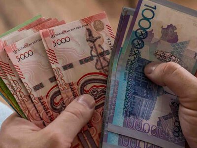 Түркістан облысында шаруа қожалықтары 1 млрд теңге бюджет қаражатын жымқырған