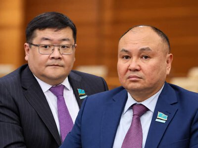 Әлемдік тәжірибе: Депутаттар байлардың салықты көп төлеуіне қатысты пікір білдірді